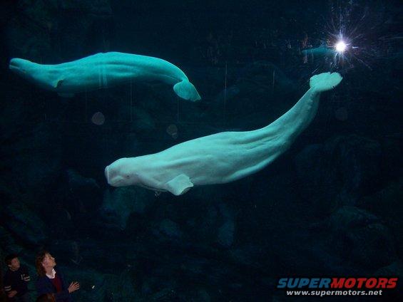 100_0748.jpg