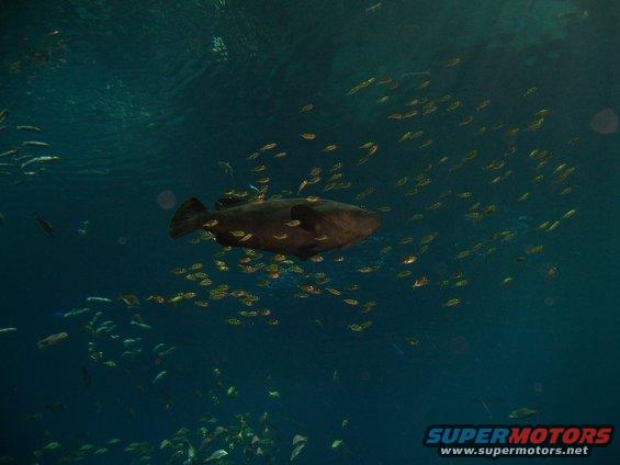 100_0759.jpg