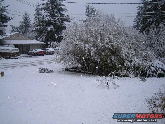 Snow covers a yard with a van, two cars, and a trailer. A house and trees are visible in the background