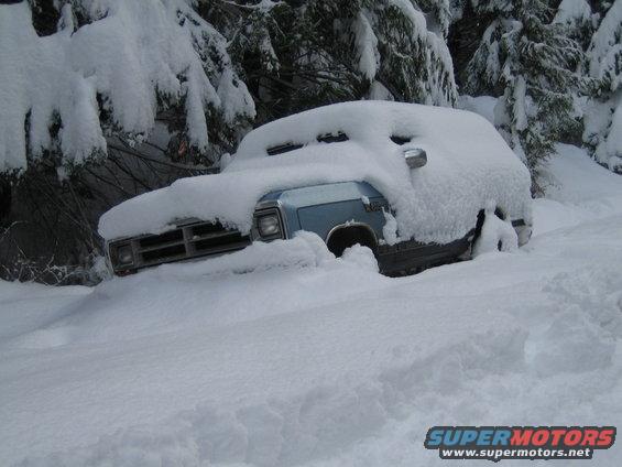 Light blue pickup truck, possibly 1980s Dodge Ram, covered in deep snow with trees in background