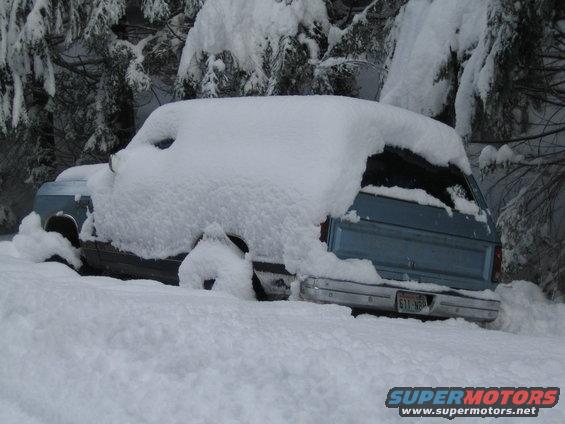 Blue SUV buried in snow, only rear bumper and taillights visible. License plate reads 611-NBP
