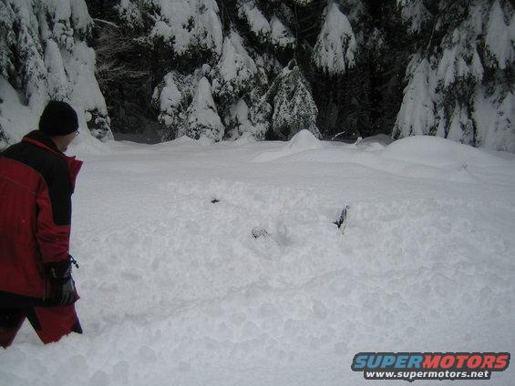 Person in red jacket stands in deep snow, looking towards a snow-covered forest