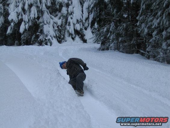 Person snowboarding down a snowy slope with trees in the background