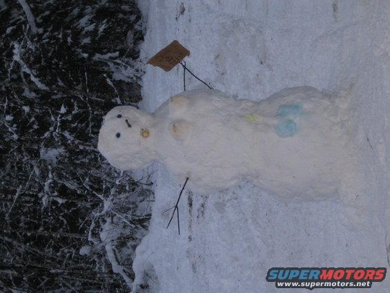 Snowman with twig arms and a tag on a stick, next to snowy trees