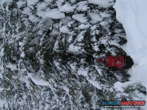 Red gas can lying on its side in snow-covered evergreen trees