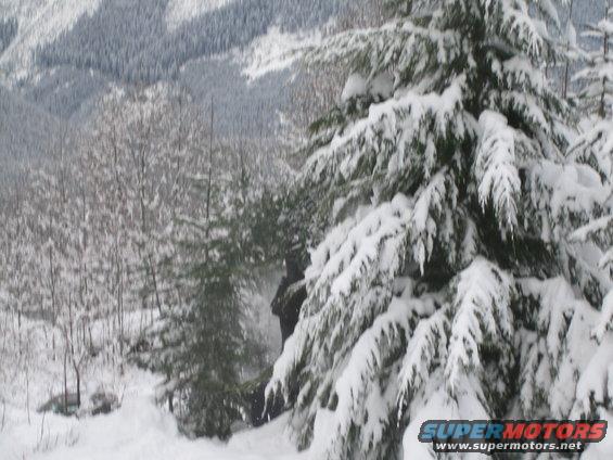 Dark vehicle partially hidden behind snow-laden evergreen trees in a winter landscape