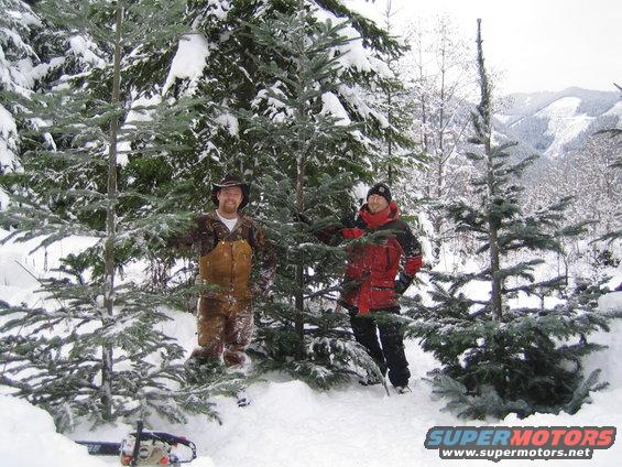 Two people stand in a snowy forest surrounded by pine trees. A chainsaw lies in the snow in the foreground