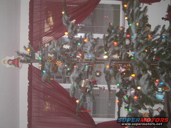 Christmas tree with colorful lights and ornaments, draped with red sheer fabric