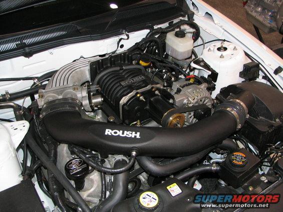 Engine bay with Roush supercharger and intake piping
