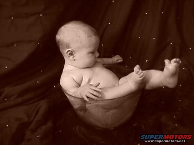 Baby sitting in a clear bowl against a dark brown backdrop with scattered white dots