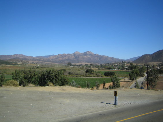 img_0664.jpg 