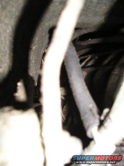 picture-059.jpg 