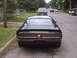 1979 Pontiac Firebird