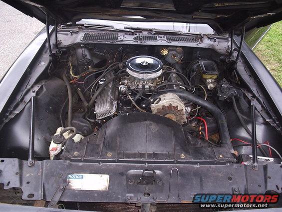 1979 Pontiac Trans Am engine bay with V8 engine, chrome air cleaner, and alternator