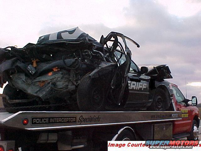 mvc009f.jpg 