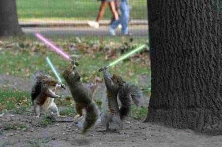 Squirrels are having a lightsaber battle in a park, with two people walking in the background