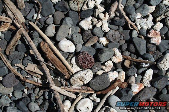 Driftwood sticks and various rocks, including coral, on a beach