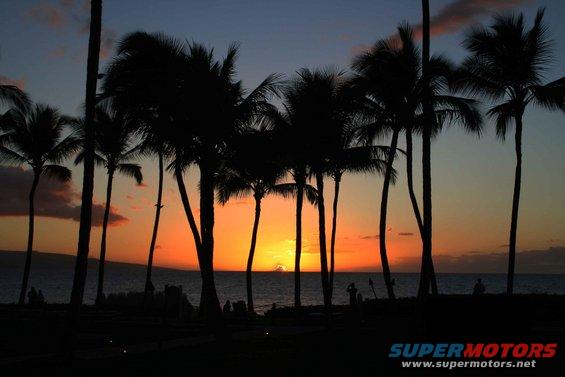 Palm trees silhouetted against a sunset over the ocean