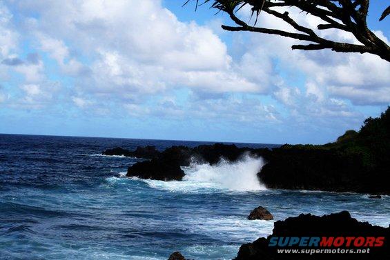 Waves crashing on dark rocks by the ocean under a cloudy blue sky. A tree branch hangs overhead