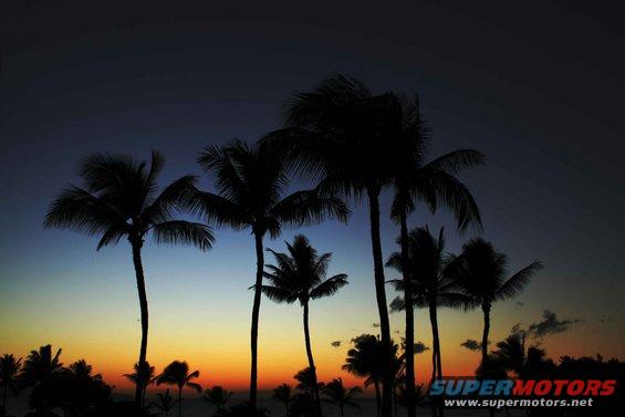 Palm trees silhouetted against a colorful sunset sky
