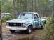 1974 Chevrolet C/K Pickup - This 1974 Chevrolet C/K Pickup truck is seen in a wooded area, showing its distinctive body style.
