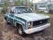 1974 Chevrolet C/K Pickup - A weathered Chevrolet C/K Pickup truck sits outdoors in front of a mobile home.