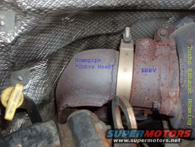 Stock cobra head on downpipe 