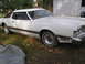 1976 Ford Thunderbird - need to do body work around the wheel wells, and repaint the lower half. stainless and chrome are in good shape
