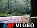 Exhaust Sound Clip
Stock Cat Back, Borla muffler
Cone filter replacing air box and silencer