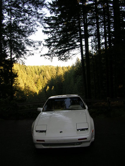 White 1989 Nissan 300ZX front view in a forest setting
