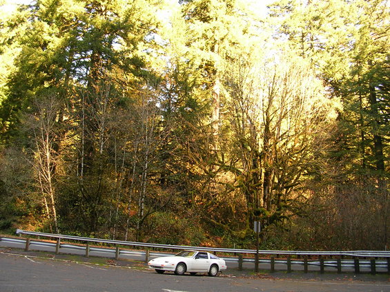 White 1984 Nissan 300ZX parked on the side of a road with trees in the background