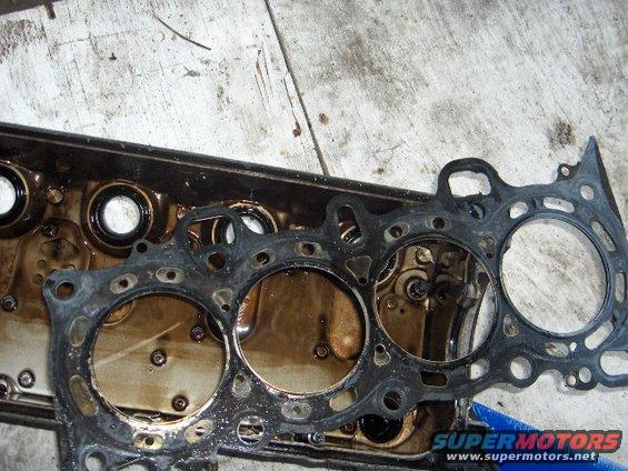 Engine cylinder head gasket removed from engine block, showing oil residue
