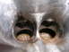 1996 Ford Probe - The intake ports of an engine cylinder head show signs of wear and accumulated residue.