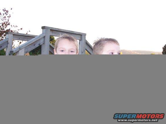 Two boys peeking over a wooden railing