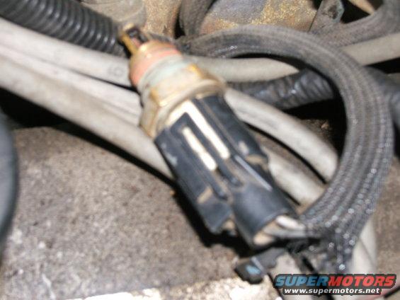 Close-up of a sensor with a black connector plugged into it, surrounded by hoses and wiring