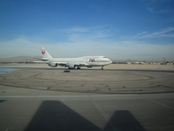 Japan Airlines Boeing 747 on tarmac