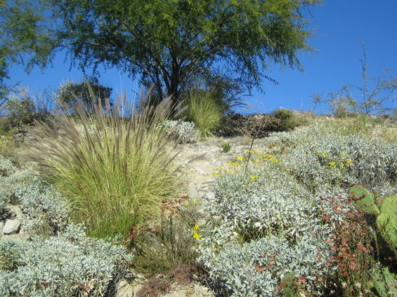 img_0922.jpg Mom took tis pic.