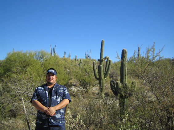 Man in desert with saguaro cacti under a clear blue sky