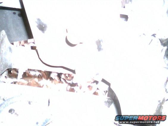 Engine bay with leaves and debris visible