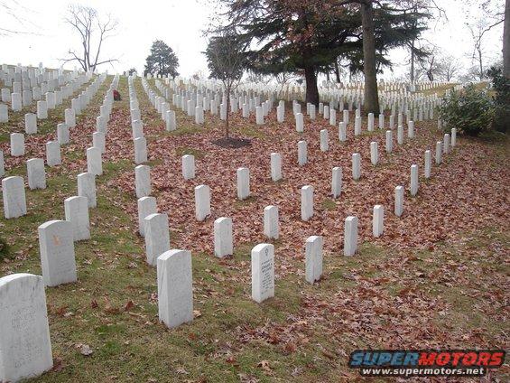 Rows of white gravestones on a grassy hill covered in fallen leaves