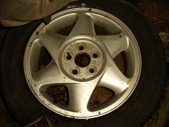 dsc03550.jpg 