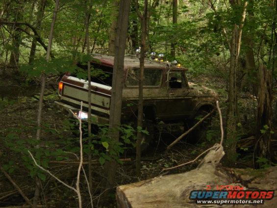 1978 Ford Bronco navigating through dense woods, partially obscured by trees and brush