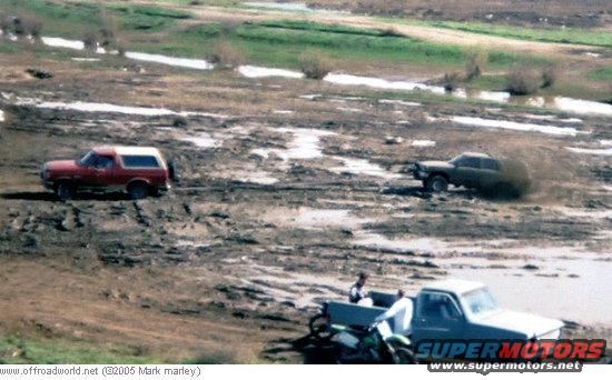 bronco.jpg 