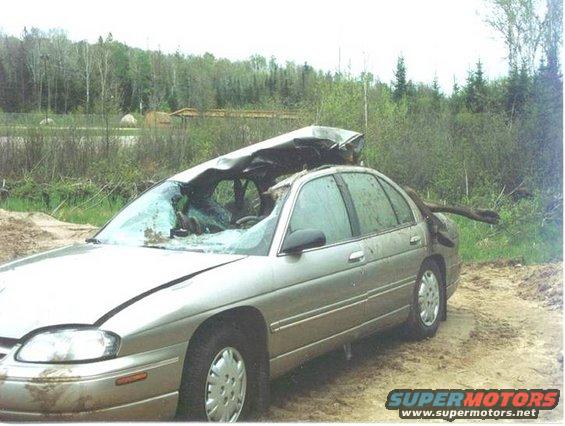 Silver sedan with a crushed roof and a tree branch protruding from the rear