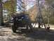 2001 Dodge 1500 - This lifted 2001 Dodge 1500 pickup truck is parked in a wooded area with a dog nearby.