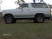 1983 Ford Bronco