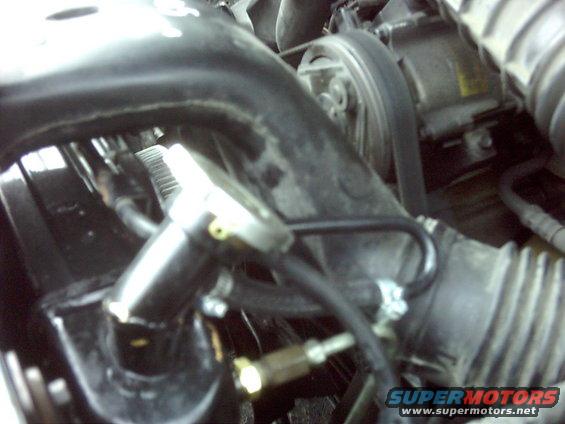 Close-up of engine bay hoses and belts