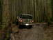 1987 Ford Bronco II - A camouflage SUV navigates a muddy trail through a dense forest.
