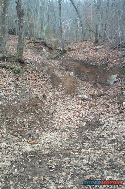 p1003094_1.jpg Twister with a bite, or another "Tunnel"???  I didnt have the pair to try it.