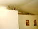 1996 Ford Probe - A collection of bottles is displayed on a high shelf above posters and a Supermotors logo on a wall.